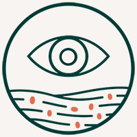 Círculo con un ojo sobre una superficie con líneas, símbolo de la observación en el entorno y la conducta del perro.