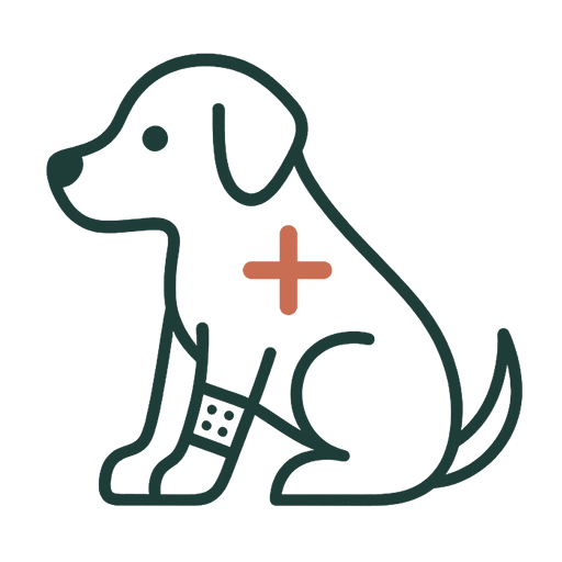 Perro adulto con vendaje en la pata y una cruz, símbolo de la necesidad de cuidados adaptados, por ser mayor o tener necesidades especiales.