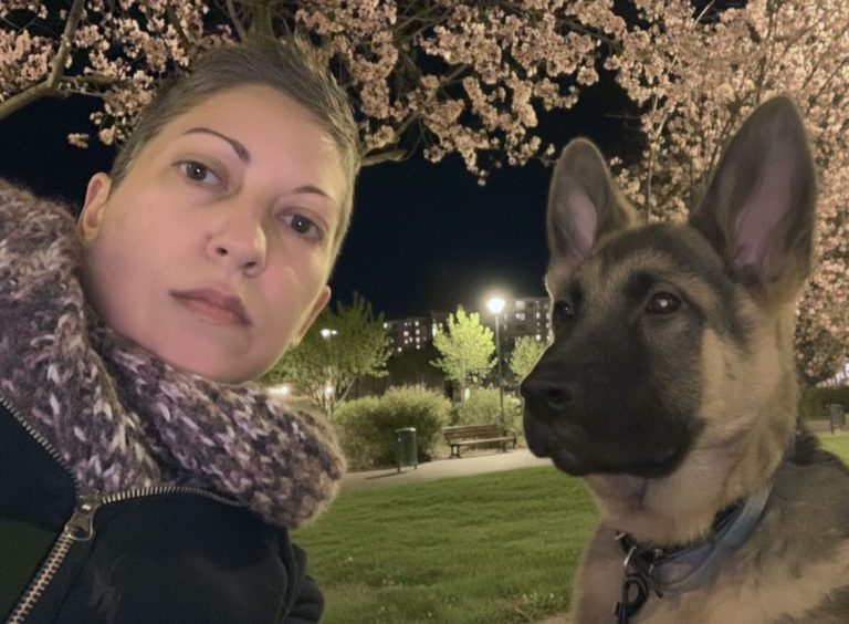 María y Kai — origen de un camino y un vínculo Mujer y cachorro sentados en un parque al anochecer, mirando en la misma dirección, bajo un cerezo en flor: Vínculo y comienzo compartido.