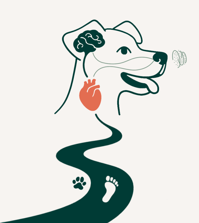 Perro con cerebro, corazón y olfato conectados con un camino en el que hay una huella de perro y pie humano: lo que influye en la conducta.
