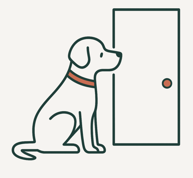 Ansiedad por separación canina